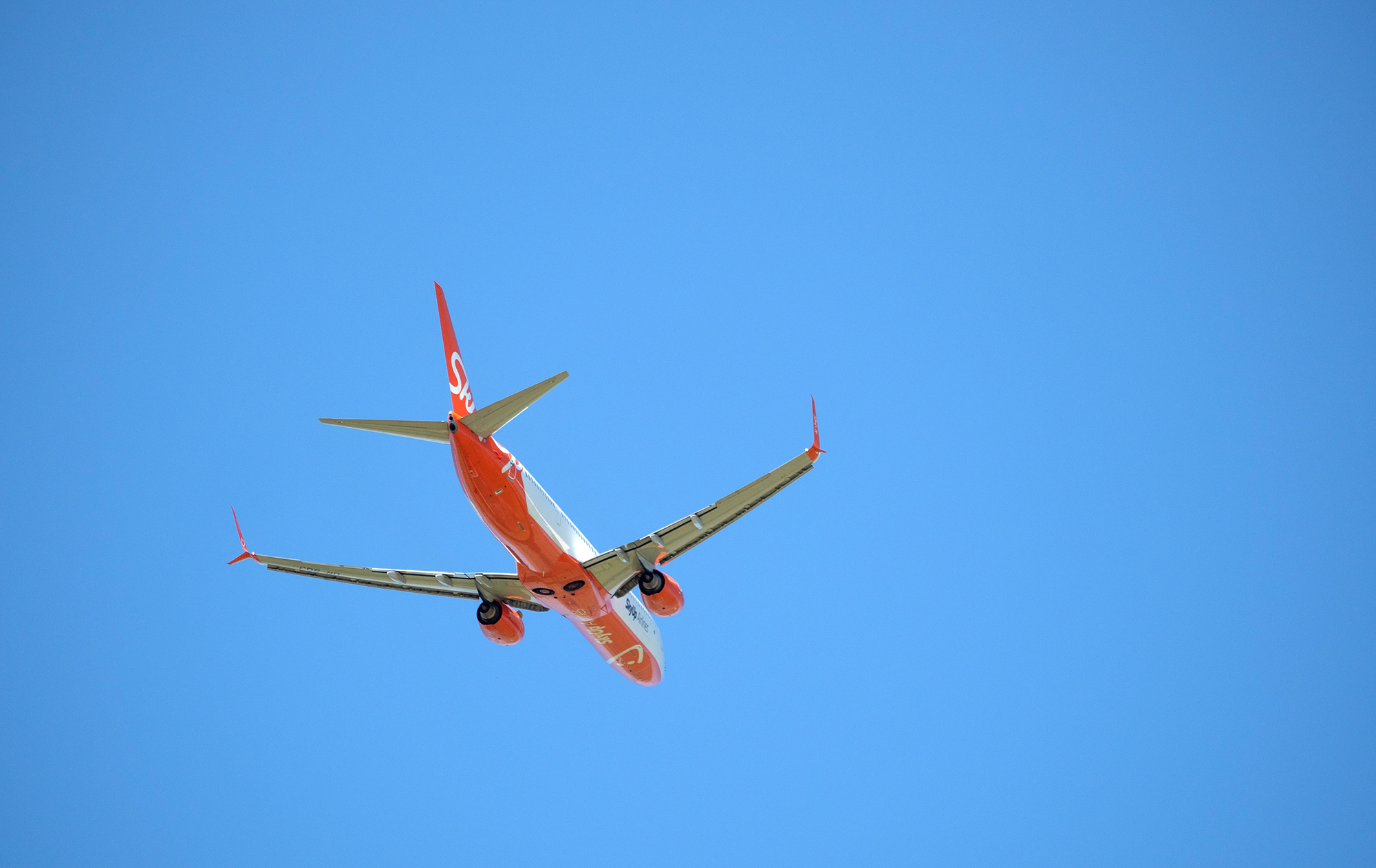 5000 рейсов. Куда летает авиакомпания SkyUp с начала войны